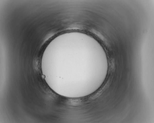 X0000115101258200911241226