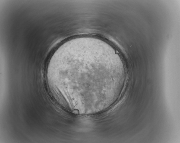 X0000115101259200911241226