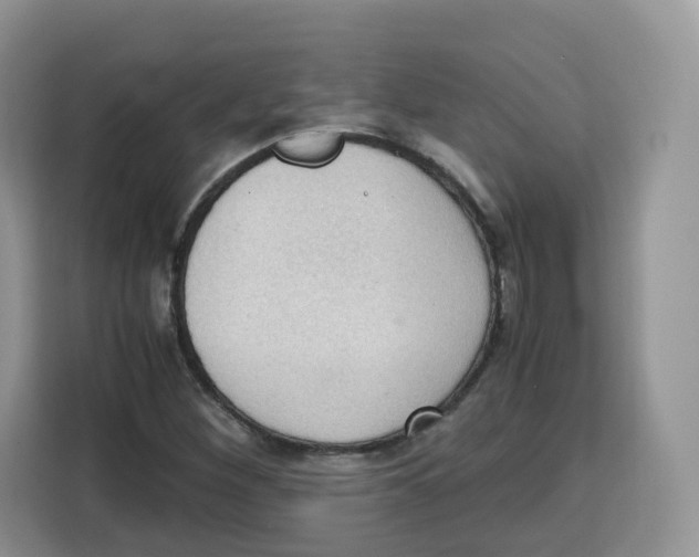 X0000115101260200911241226