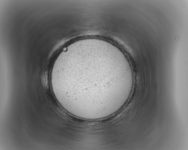 X0000115101262200911241226