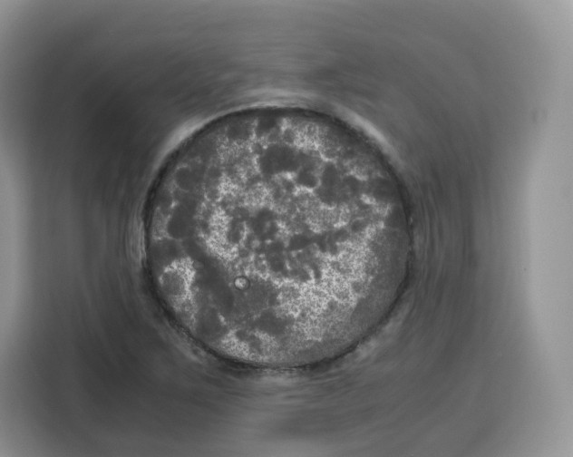 X0000115101267200911241226