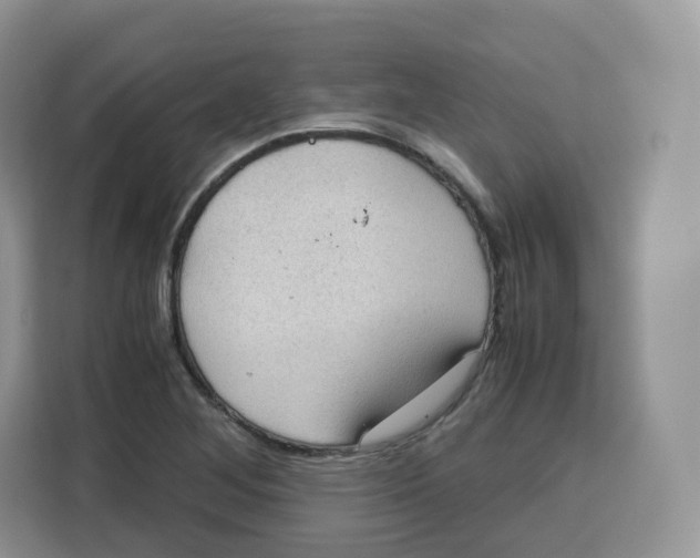 X0000115101268200911241226