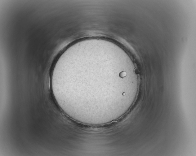 X0000115101269200911241226