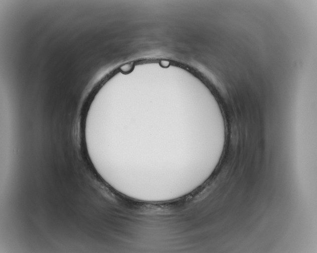 X0000115101270200911241226