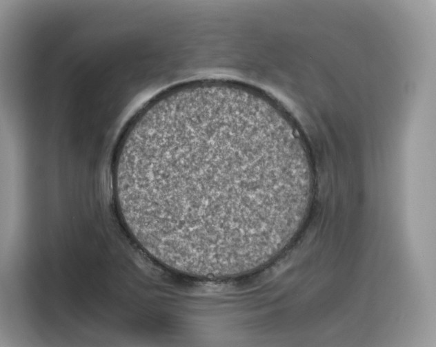 X0000115101271200911241226