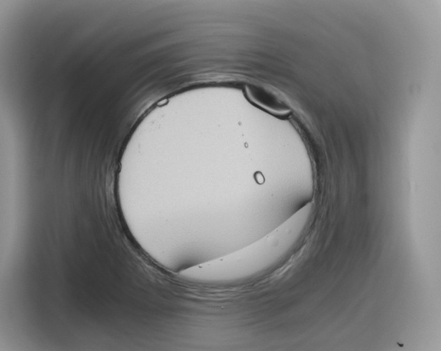 X0000115101273200911241226