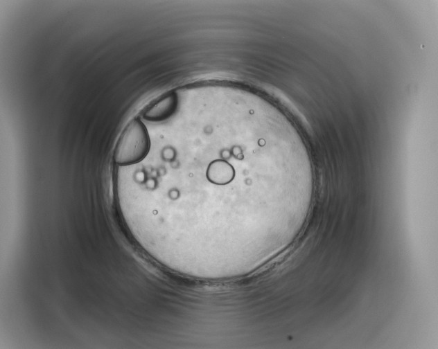 X0000115101274200911241226