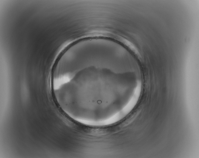 X0000115101275200911241226