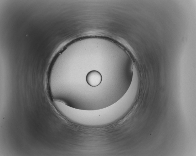 X0000115101277200911241226