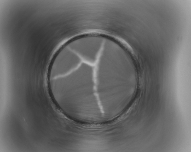 X0000115101279200911241226