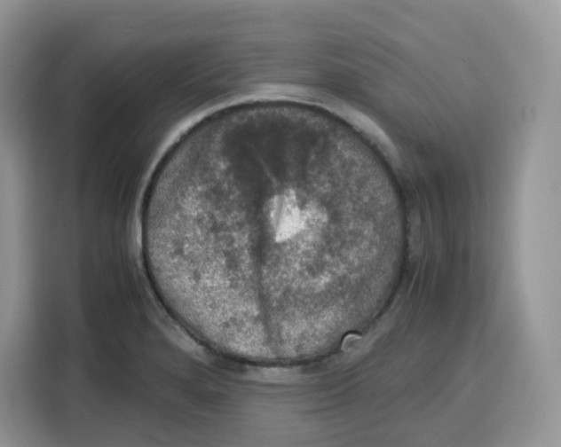 X0000115101280200911241226