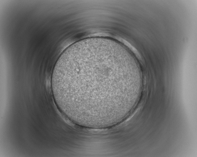 X0000115101281200911241226