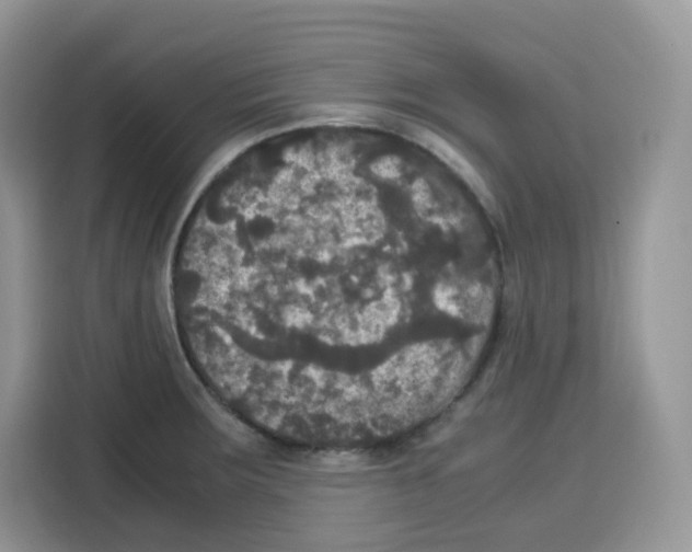 X0000115101283200911241226