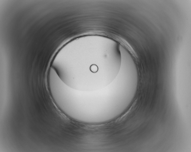 X0000115101284200911241226