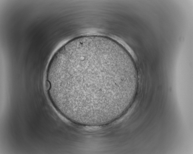 X0000115101285200911241226