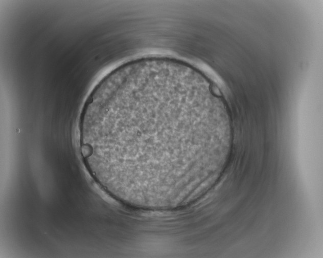 X0000115101287200911241226