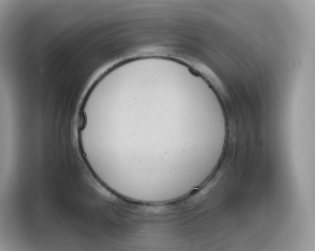 X0000115101288200911241226