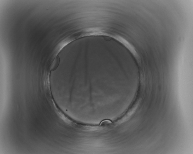 X0000115101289200911241226