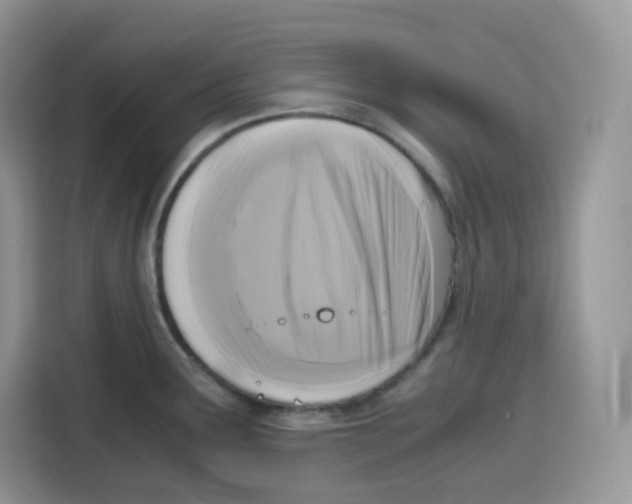 X0000115101291200911241226