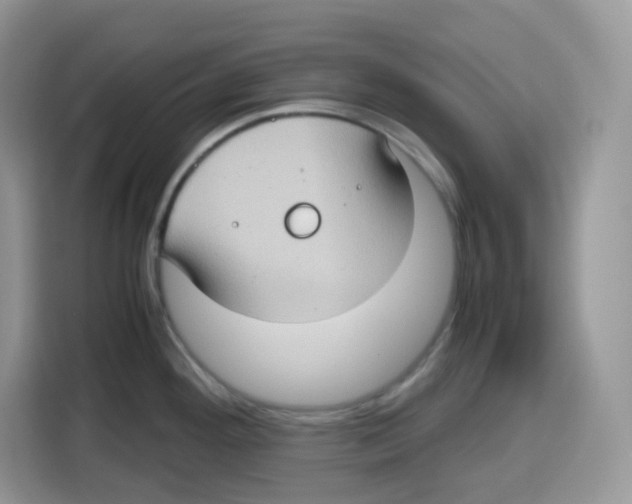 X0000115101292200911241226