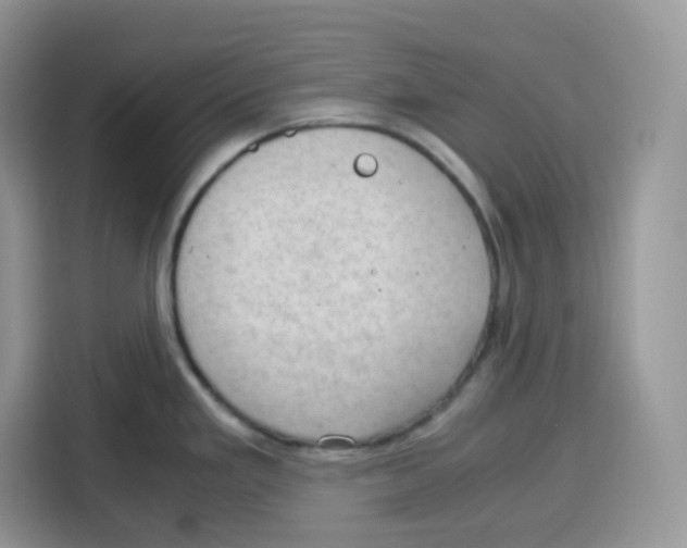 X0000115101293200911241226