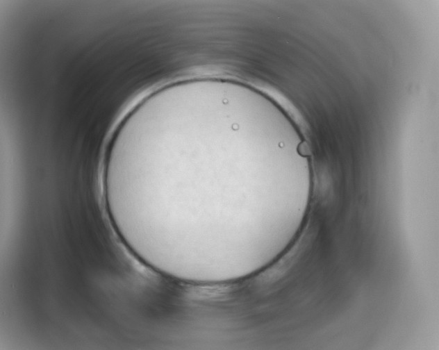 X0000115101294200911241226