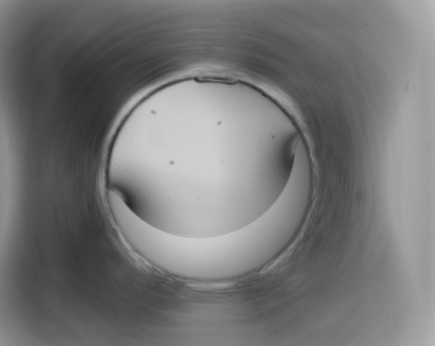 X0000115101296200911241226