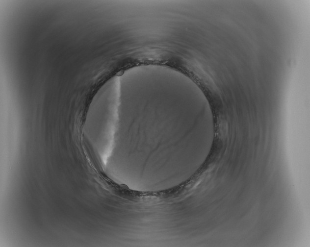 X0000115101297200911241225