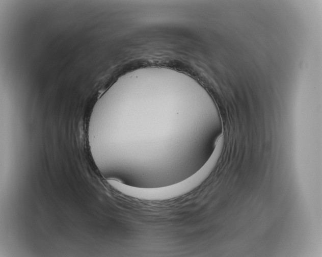 X0000115101298200911241225