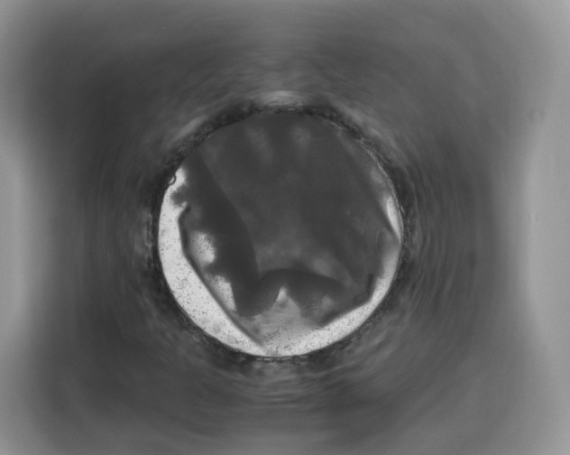 X0000115101301200911241225