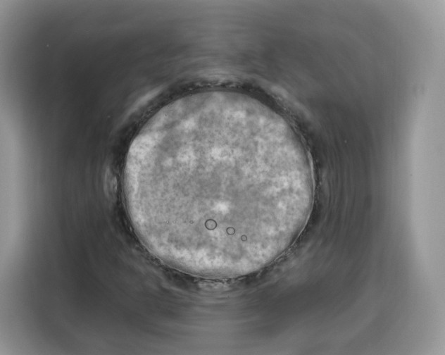 X0000115101302200911241225