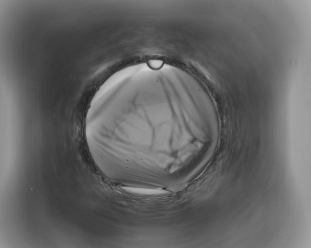 X0000115101303200911241225