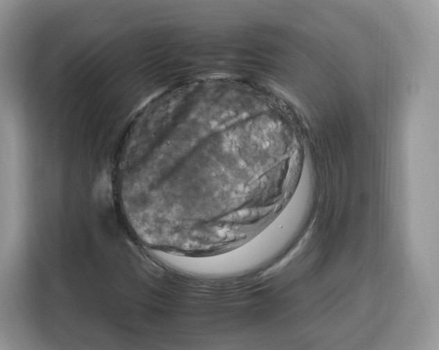 X0000115101305200911241225