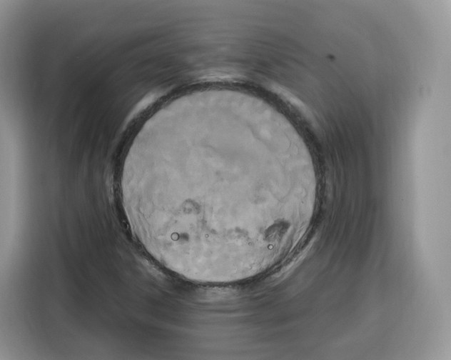 X0000115101306200911241225