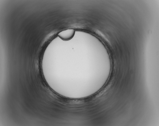 X0000115101307200911241225