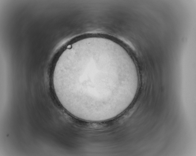 X0000115101311200911241225