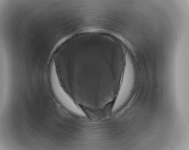 X0000115101314200911241226