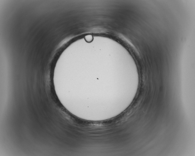 X0000115101315200911241226