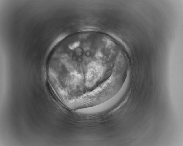 X0000115101317200911241226