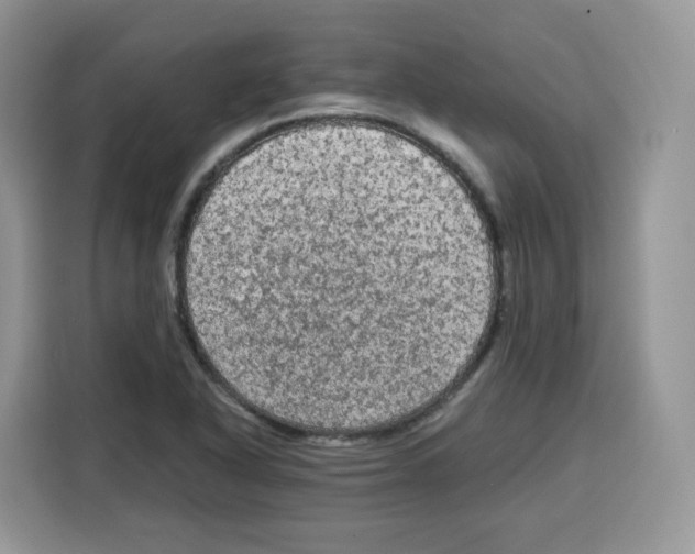 X0000115101318200911241226