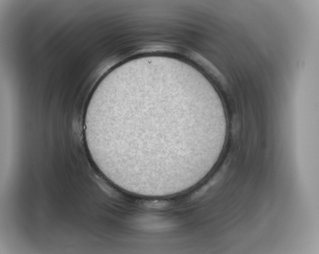 X0000115101321200911241226