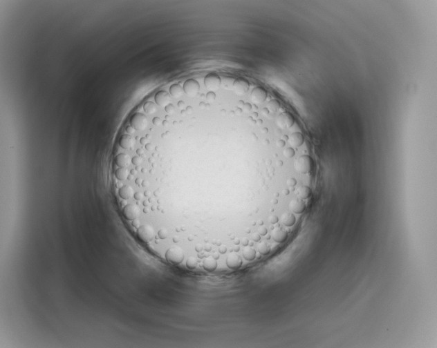 X0000115101322200911241226