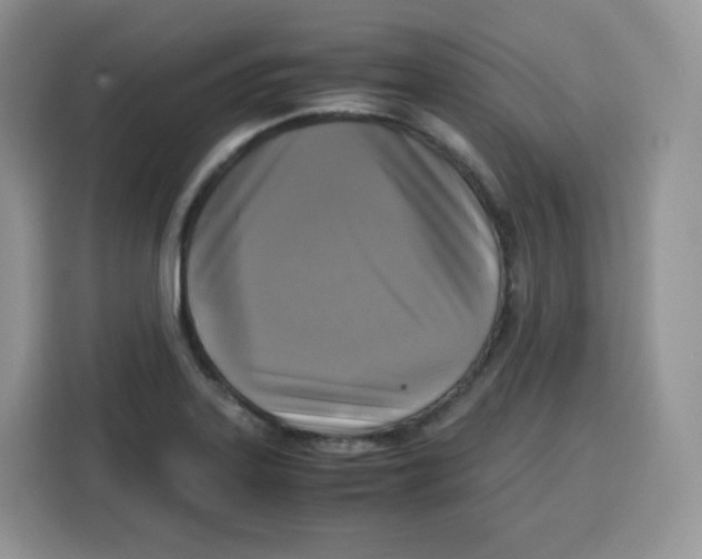 X0000115101323200911241226