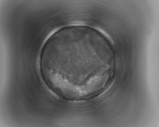 X0000115101325200911241226