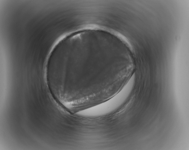 X0000115101326200911241226