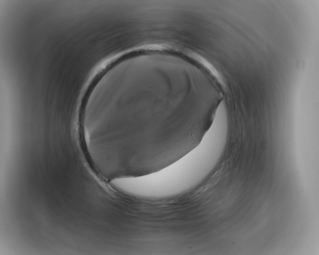 X0000115101327200911241226