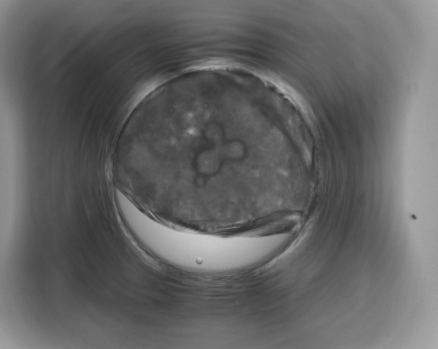 X0000115101329200911241226