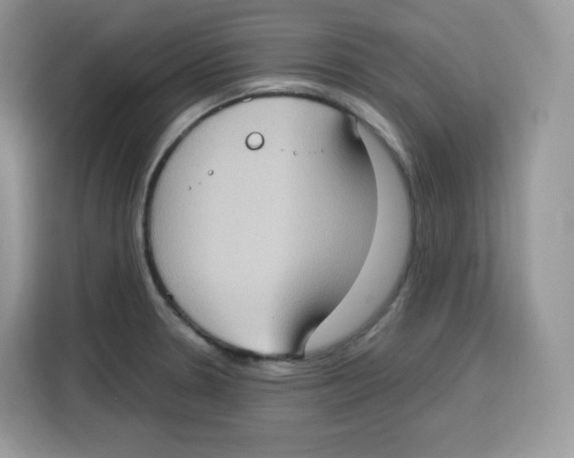 X0000115101330200911241226