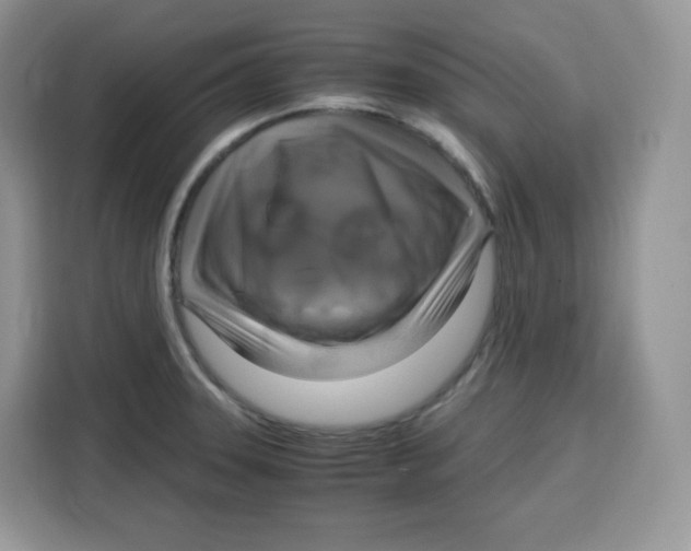 X0000115101331200911241226