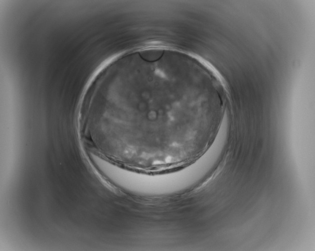 X0000115101333200911241226